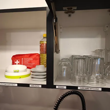 Luksusowy Apartament, Duzy Parking, Zameldowanie 24h, Fv, Ekspres, Xbox, Klimatyzacja, Dwie Sypialnie, Kuchnia I Salon, Samo Centrum Miasta, アパート Starogard Gdański