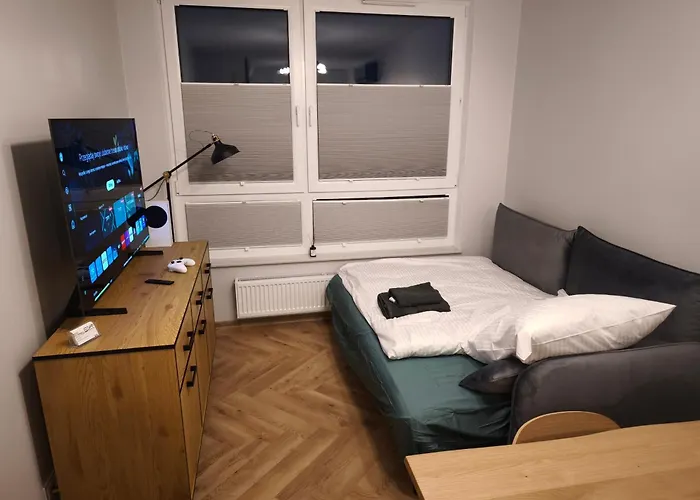 W Centrum Luksusowy Apartament, Duzy Parking, Zameldowanie 24h, Fv, Ekspres, Xbox, Klimatyzacja, Dwie Sypialnie, Kuchnia I Salon, Samo Centrum Miasta, Lägenhet *